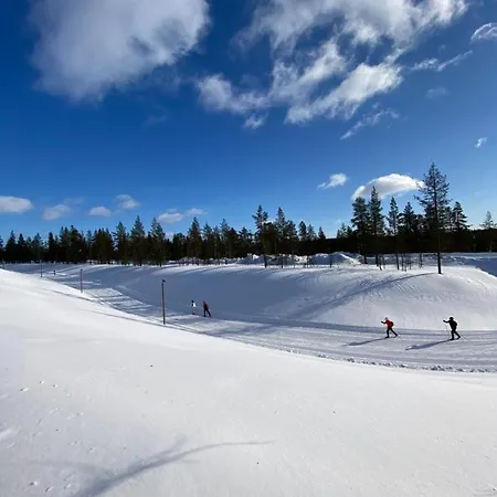 Haukka