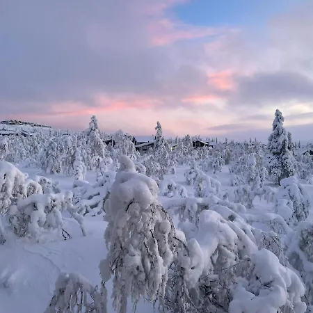 Haukka *